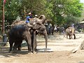 Chiang Mai P0180 Maetaman Elephant Camp